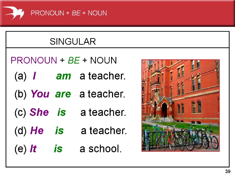 39 SINGULAR   (a)  I       am